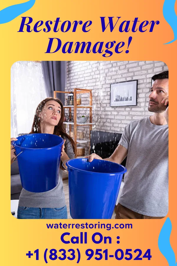 water restoration Elite Flood Mitigation Company Largo