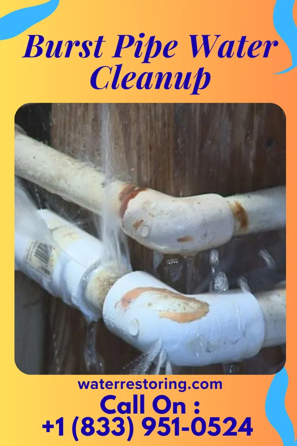 Burst Pipe Water Cleanup in Largo, MD
