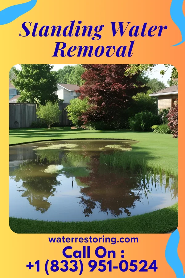 Standing Water Removal in Largo, MD